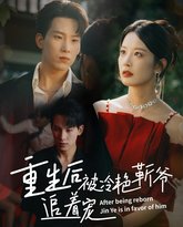 重生后被冷艳靳爷追着宠 泰剧封面