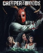 林中之死 泰剧封面