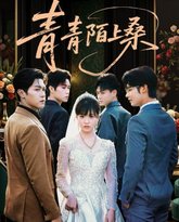 青青陌上桑 封面