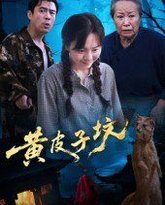 黄皮子坟 泰剧封面