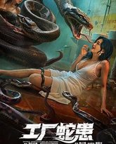 工厂蛇患 热播剧封面