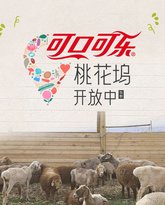 桃花坞开放中第四季 泰剧封面