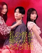 我男友成了姐夫的理由 封面