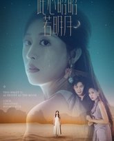 此心昭昭若明月 泰剧封面
