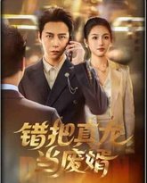 错把真龙当废婿 泰剧封面