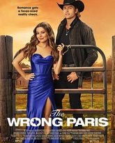 乌龙巴黎梦 高清封面