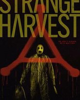 怪奇收割：超自然谋杀 泰剧封面