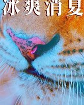 寒冰白血 泰剧封面