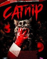 猫薄荷 泰剧封面