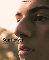 向日葵 泰剧封面