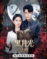 黑月光法则 封面