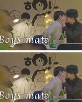 只是室友 泰剧封面