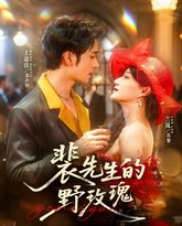 裴先生的野玫瑰 高清封面