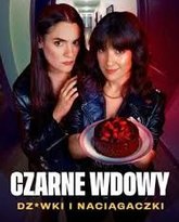 黑寡妇 风月陷阱 泰剧封面