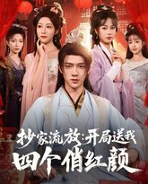 抄家流放开局送我四个俏红颜 高清封面