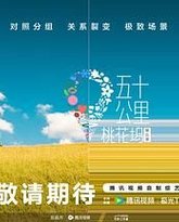 五十公里桃花坞 第五季 封面