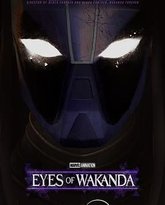 瓦坎达之眼 封面