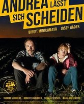 安德莉亚离婚记 热播剧封面