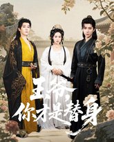 王爷你才是替身 高清封面