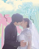 岁晚忽逢君 泰剧封面