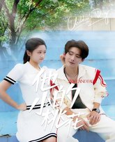 他的小桃花 封面