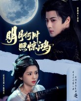 明月何时照惊鸿 高清封面