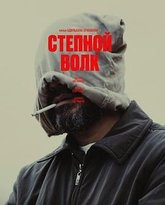 荒原狼 热播剧封面