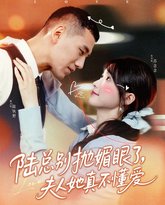 陆总别抛媚眼了夫人她真不懂爱 高清封面