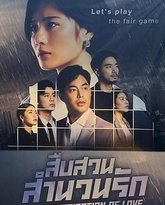 婚恋调查2 封面