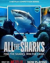 众里寻鲨 拍摄大作战 高清封面