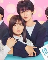 [searchlist:name] 封面