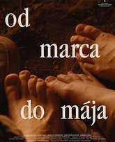 春来家事 高清封面