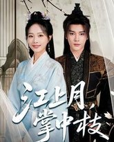 江上月掌中枝 泰剧封面