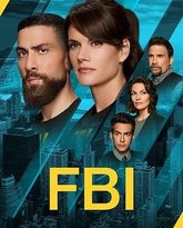 联邦调查局 第七季 高清封面