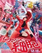 工作细胞 真人版 封面