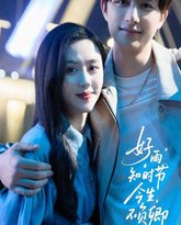 好雨知时节今生不负卿 高清封面