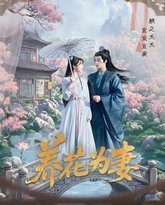 太子妃又在耍心机（人家才不是坏女人） 泰剧封面