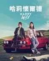 野探哈莉 第四季 封面