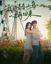我的青春小鸟一去再回来 高清封面