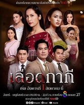 血脉相承 高清封面