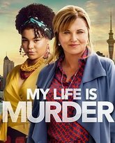 侦探人生 第四季 封面