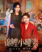 锦鲤小哑妻 封面