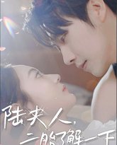 陆夫人，二胎了解一下 高清封面