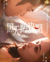 黑天鹅攻略 高清封面