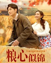 粮心似锦 高清封面
