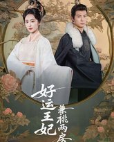 好运王妃兼祧两房 高清封面