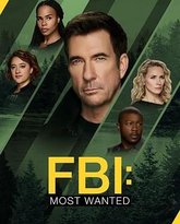 联邦调查局：通缉要犯 第六季 高清封面