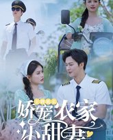 王牌机长娇宠农家小甜妻 高清封面