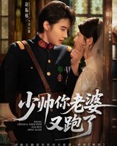 少帅你老婆又跑了 高清封面