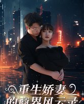 重生娇妻的商界风云录（商界女王风云录） 高清封面